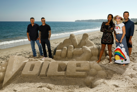 The Voice 13 coaches and host